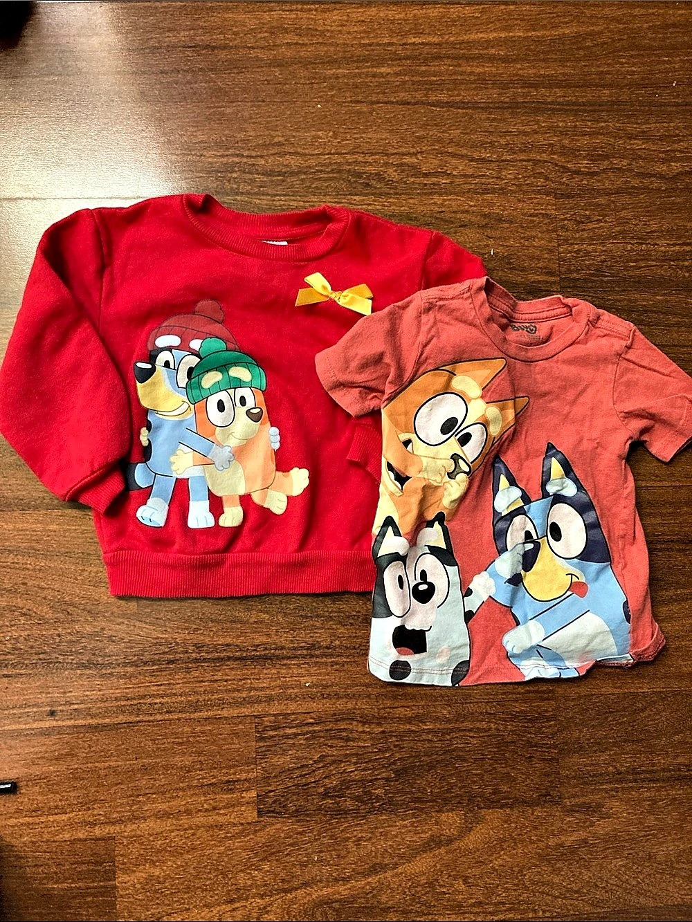 Bluey Girls 3T Red Sweatshirt & T-Shirt Set Sz 3T